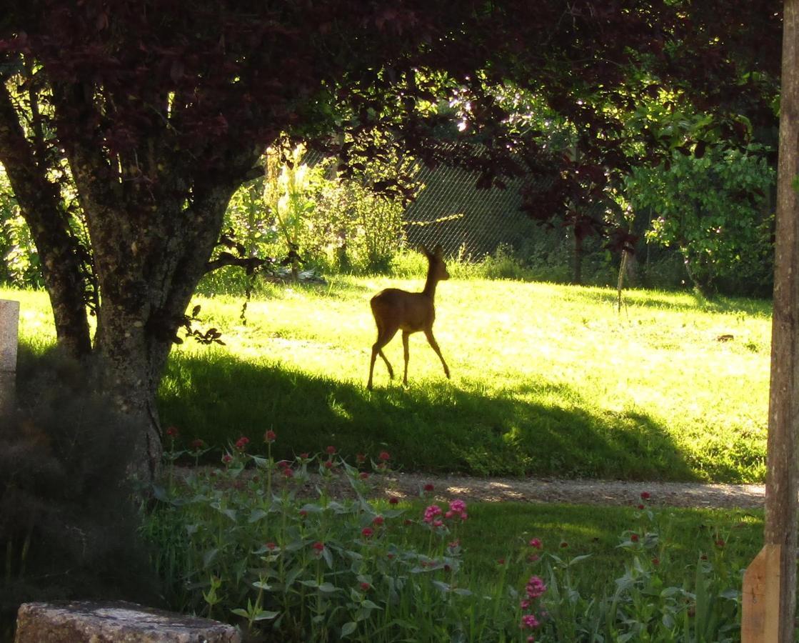 Fermette Dans Les Pays De La Loire Villa Izé Dış mekan fotoğraf