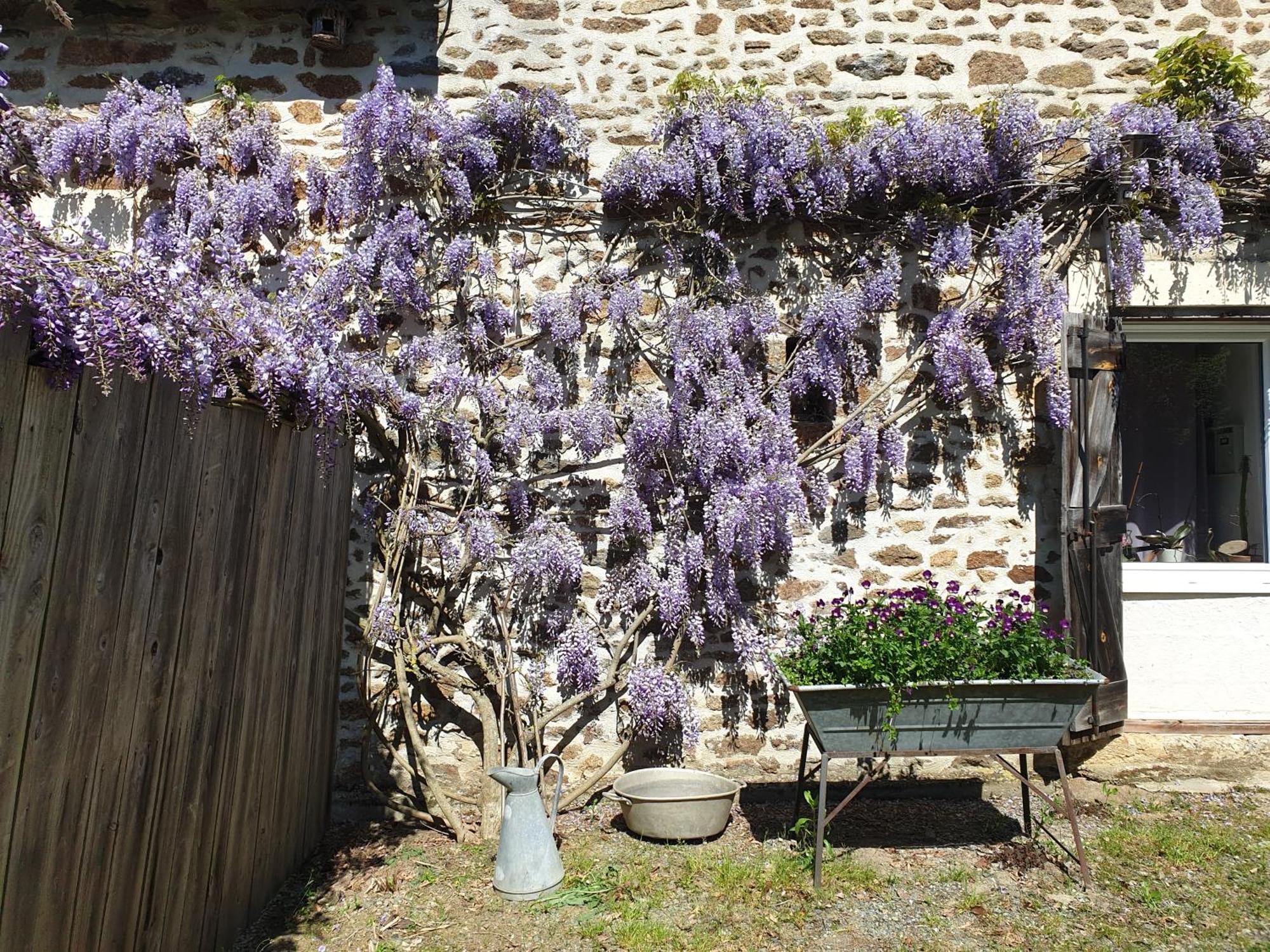 Fermette Dans Les Pays De La Loire Villa Izé Dış mekan fotoğraf