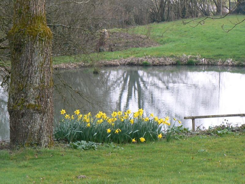 Fermette Dans Les Pays De La Loire Villa Izé Dış mekan fotoğraf