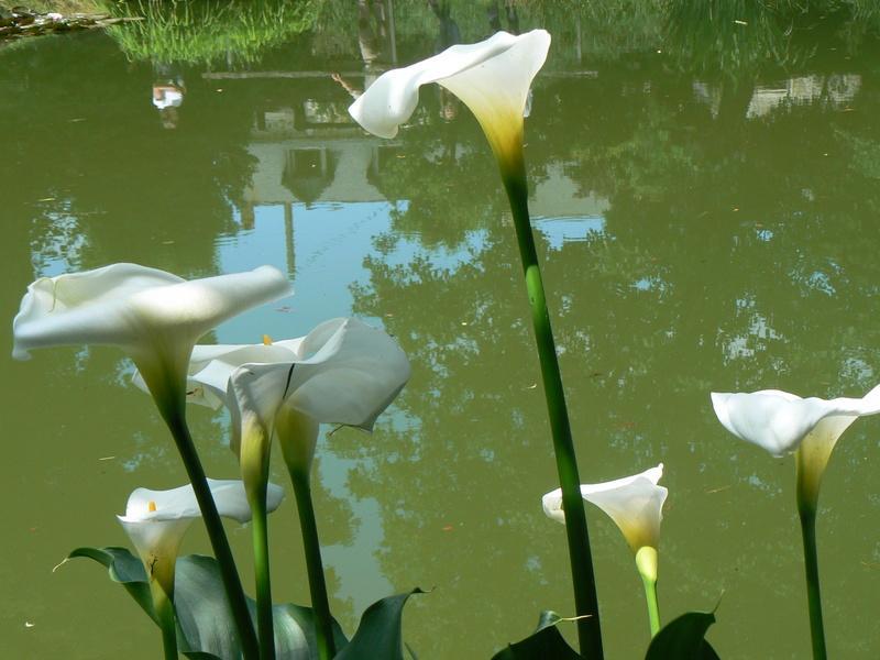 Fermette Dans Les Pays De La Loire Villa Izé Dış mekan fotoğraf