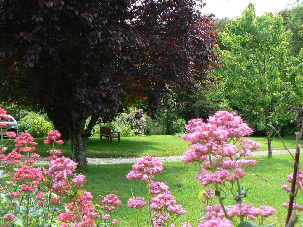 Fermette Dans Les Pays De La Loire Villa Izé Dış mekan fotoğraf