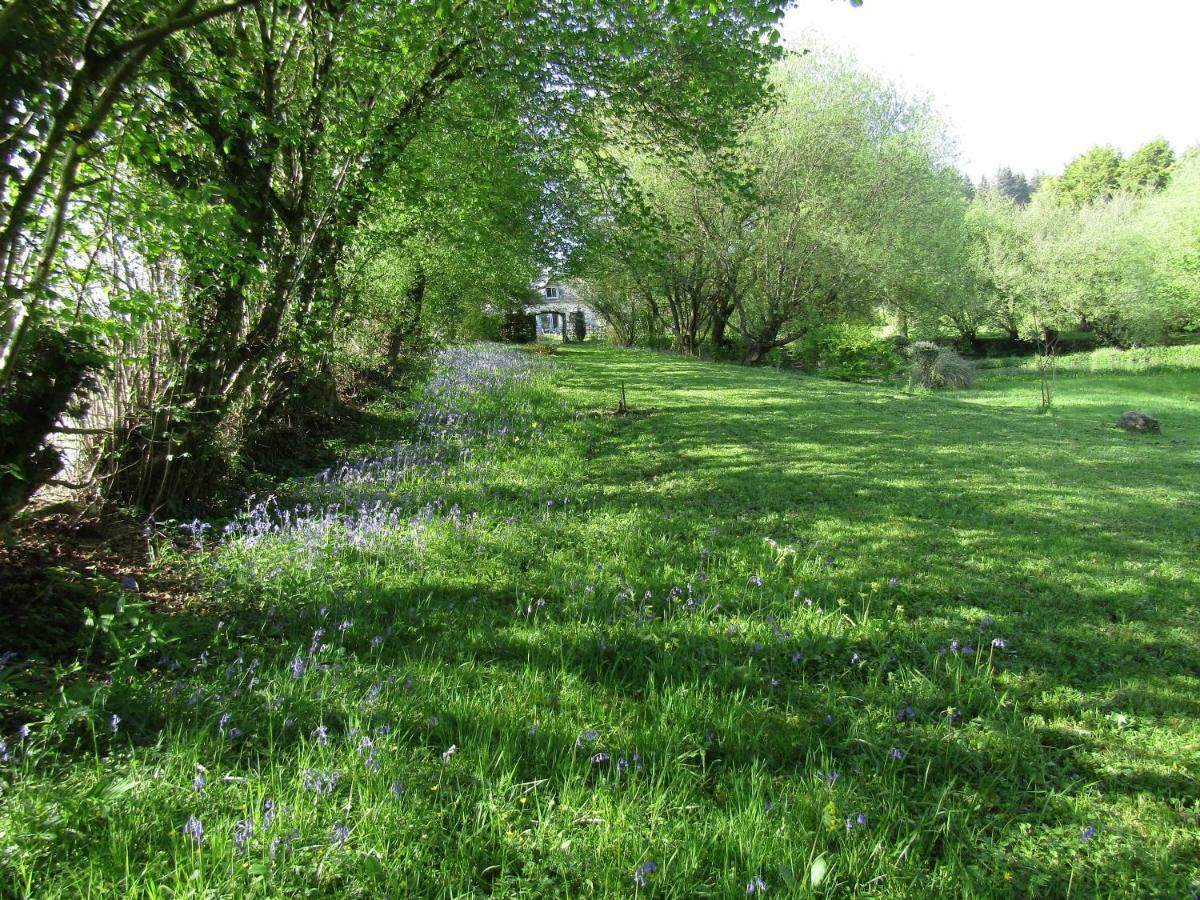 Fermette Dans Les Pays De La Loire Villa Izé Dış mekan fotoğraf